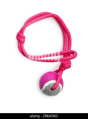 Dog toy, ball on rope isolated on the white background. Stock Photo