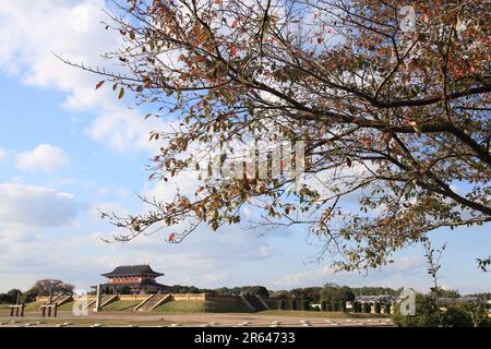 Daigoku-den Hall of the Heijo Palace Site in Autumn Stock Photo