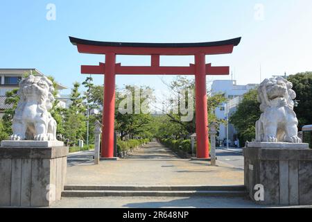 Tsuruoka Hachimangu Shrine Second Torii Gate and Komainu (guardian dogs) Stock Photo