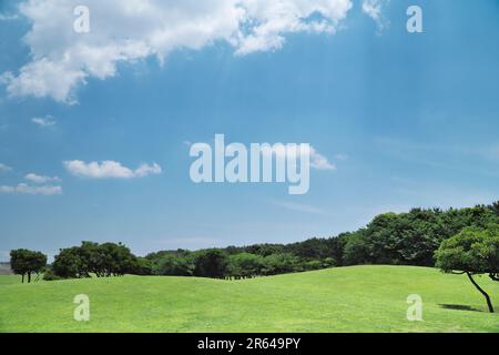 Tsujido Seaside Park Stock Photo