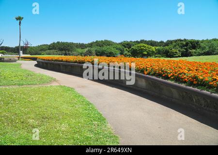 Tsujido Seaside Park Stock Photo