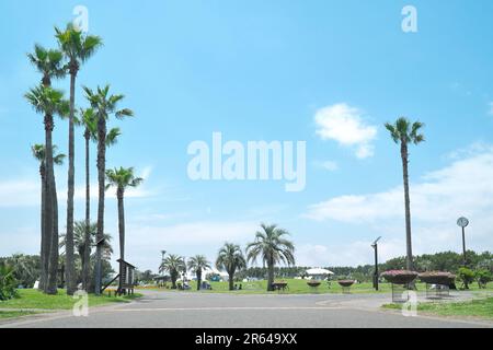 Tsujido Seaside Park Stock Photo