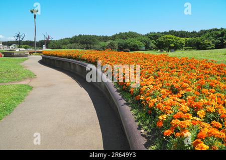 Tsujido Seaside Park Stock Photo