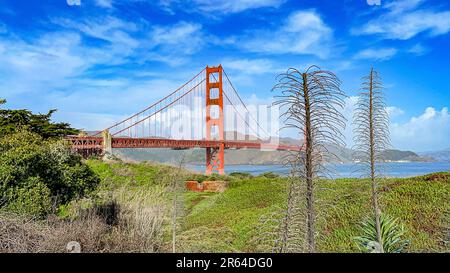 The Golden Gate Bridge seen from the viewpoint over the bay of the city of San Francisco, USA and its vegetation. Emblematic bridge of the U.S. state Stock Photo