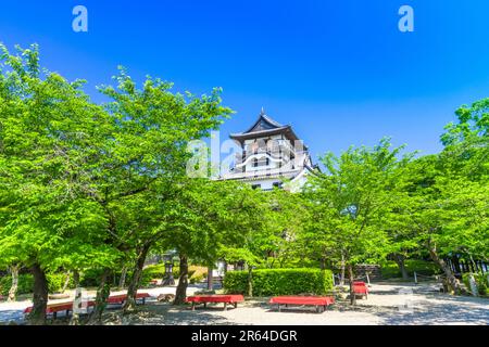 Inuyama castle Stock Photo