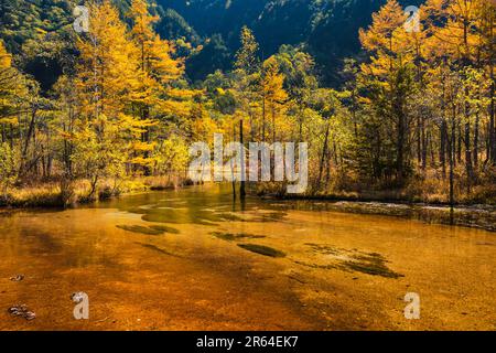 Tashiroike Pond in Kamikochi Stock Photo