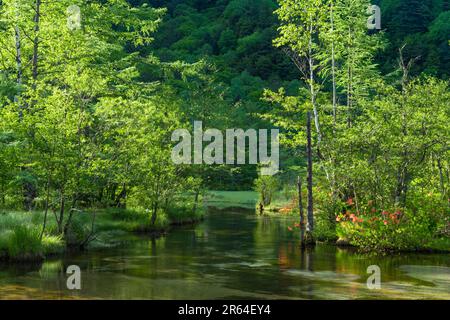 Tashiroike Pond in Kamikochi Stock Photo