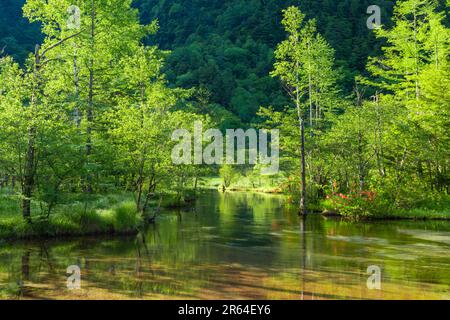 Tashiroike Pond in Kamikochi Stock Photo