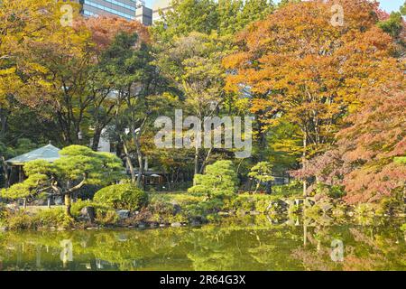 Autumn Leaves of Ungata Pond Stock Photo