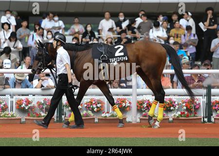 HANSHIN 11R MATSUKAZETSUKI STAKES at Hanshin Racecourse in Hyogo, Japan, June 4, 2023. (Photo by Eiichi Yamane/AFLO) Stock Photo