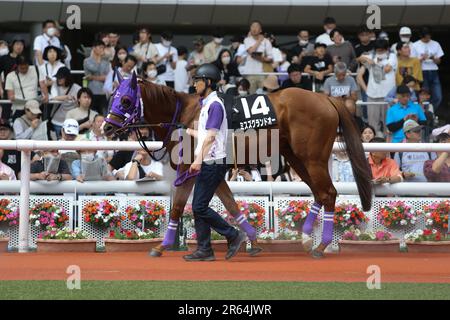 HANSHIN 11R MATSUKAZETSUKI STAKES at Hanshin Racecourse in Hyogo, Japan, June 4, 2023. (Photo by Eiichi Yamane/AFLO) Stock Photo