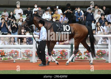 HANSHIN 11R MATSUKAZETSUKI STAKES at Hanshin Racecourse in Hyogo, Japan, June 4, 2023. (Photo by Eiichi Yamane/AFLO) Stock Photo