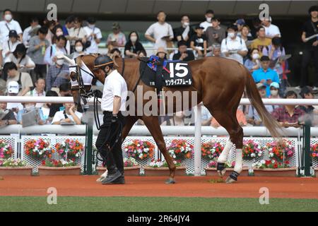 HANSHIN 11R MATSUKAZETSUKI STAKES at Hanshin Racecourse in Hyogo, Japan, June 4, 2023. (Photo by Eiichi Yamane/AFLO) Stock Photo