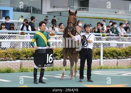 HANSHIN 11R MATSUKAZETSUKI STAKES at Hanshin Racecourse in Hyogo, Japan, June 4, 2023. (Photo by Eiichi Yamane/AFLO) Stock Photo