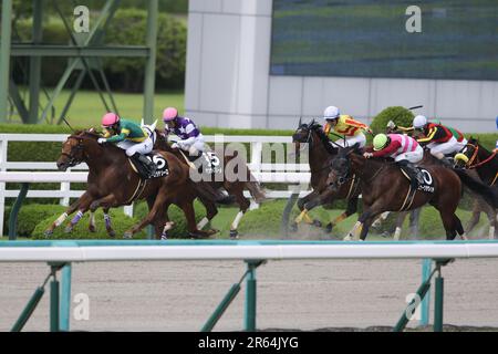 HANSHIN 11R MATSUKAZETSUKI STAKES at Hanshin Racecourse in Hyogo, Japan, June 4, 2023. (Photo by Eiichi Yamane/AFLO) Stock Photo