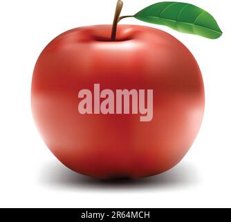 Realistic apple - vector illustration Stock Vector Image & Art - Alamy