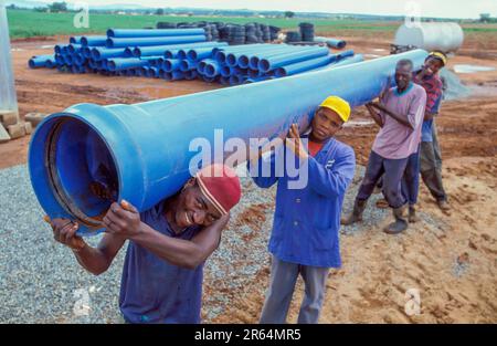 Swaziland, men of the Intamakuphila-village carry sewagepipes. The village is a cooperation that decides about the total development. The waterprogram Stock Photo