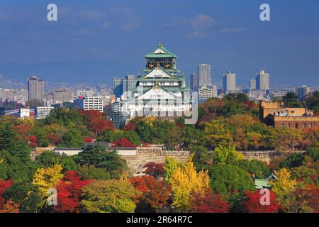 Osaka Castle in autumn leaves Stock Photo