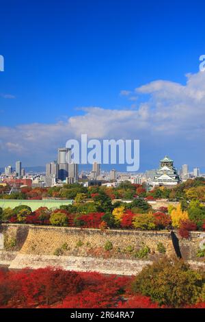 Osaka Castle in autumn leaves Stock Photo