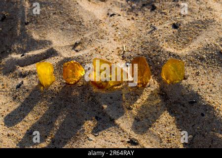 A few natural, polished Baltic ambers on a sandy beach in the rays of the setting sun. Kolobrzeg, Poland. Stock Photo