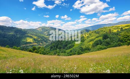 grassy meadows on the hills of ukrainian highlands. sustainable life in carpathian rural area Stock Photo
