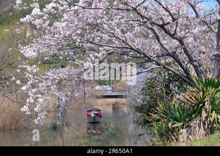 tour around a riverside area Stock Photo