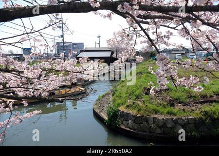 tour around a riverside area Stock Photo