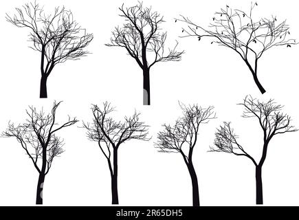 set of detailed tree silhouettes, vector Stock Vector Image & Art - Alamy