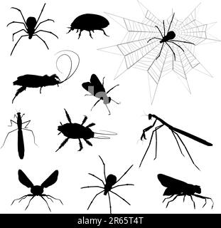 Silhouettes of lots of various insects Stock Vector