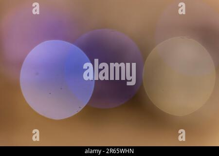 A beautiful photo showcasing a softly blurred bokeh background, adding a touch of dreaminess to any project. Stock Photo