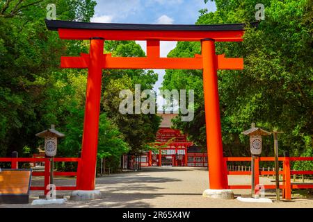 Shimogamo Shrine Torii gate in Kyoto, Japan Stock Photo - Alamy