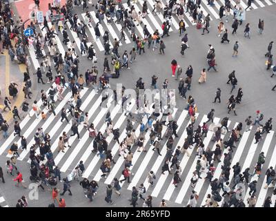 Shibuya scramble crossing Stock Photo