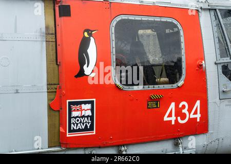 Westland Lynx HAS.3 (ICE) XZ246. South Yorkshire Air Museum. Stock Photo