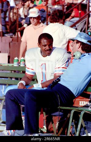 Joe Montana with Steve Young of the San Francisco 49rs during a game at  Candlestick Park in San Francisco, California 1987 Credit: Ross  Pelton/MediaPunch Stock Photo - Alamy