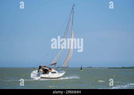 Sailing on River Crouch Stock Photo