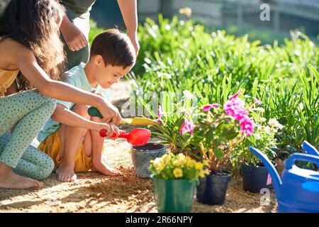 Brother and sister planting flowers in summer garden Stock Photo