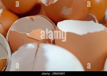 Egg shells in a closeup Stock Photo