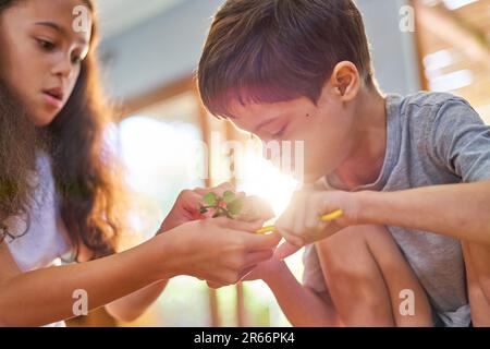 Sister and curious brother with Down Syndrome looking at plant Stock Photo