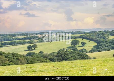 rolling pasture in Devon Stock Photo