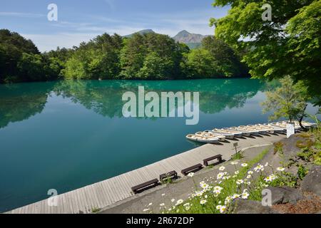 Goshikinuma in fresh green Stock Photo