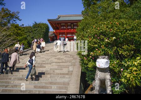 Large stone steps and komainu (guardian dogs) at Tsuruoka Hachimangu Shrine Stock Photo