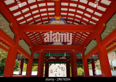 Tsuruoka Hachimangu Shrine Maiden and large stone steps Stock Photo