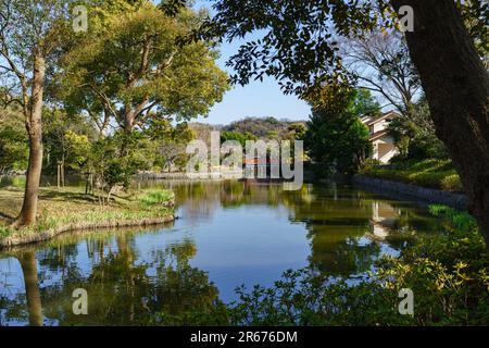 Heike Pond at Tsuruoka Hachimangu Shrine Stock Photo