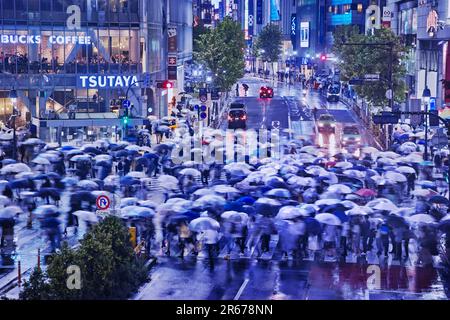 Shibuya Scramble Crossing crowded on a rainy night Stock Photo