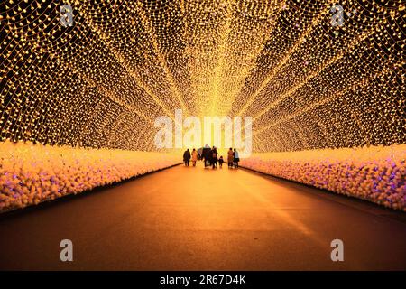 Illumination in Nabana-no-sato Stock Photo