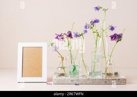 Blue columbine flowers in glass bottles and empty white picture frame mockup. Stock Photo
