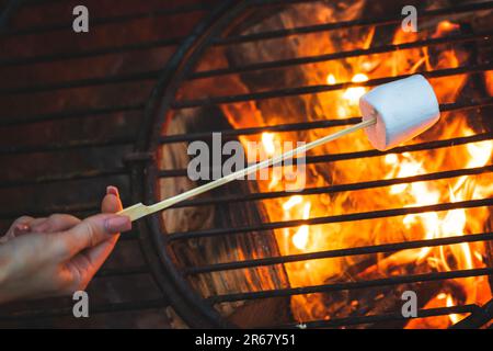 toasting marshmallows on the fire while camping Stock Photo