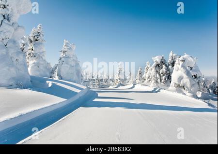 Zao Ski Resort Utopia slope Stock Photo