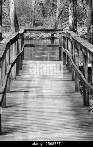 Wooden boardwalk foot bridge with railing through the wooded hiking trail Stock Photo