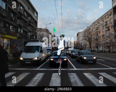 Picture of a pedestrian crossing of the city center of Belgrade with cars waiting at a traffic light while a clown, a street performer jugging, in pro Stock Photo